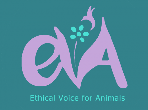 Ethical Voice for Animals